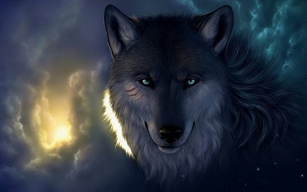 Wolf Desktop Wallpaper
