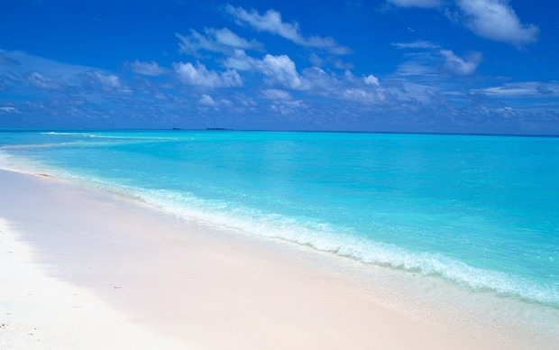 Maldives Beach High Definition