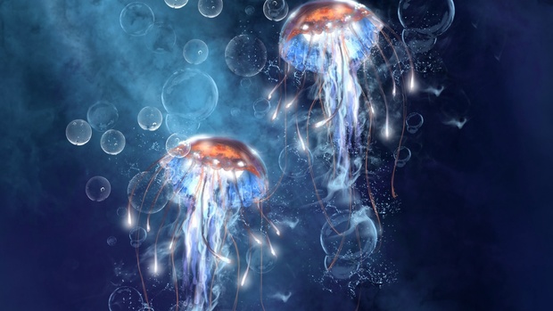 Awesome Jellyfish Wallpaper