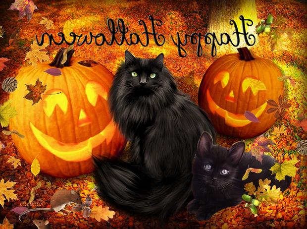 Free Halloween Images