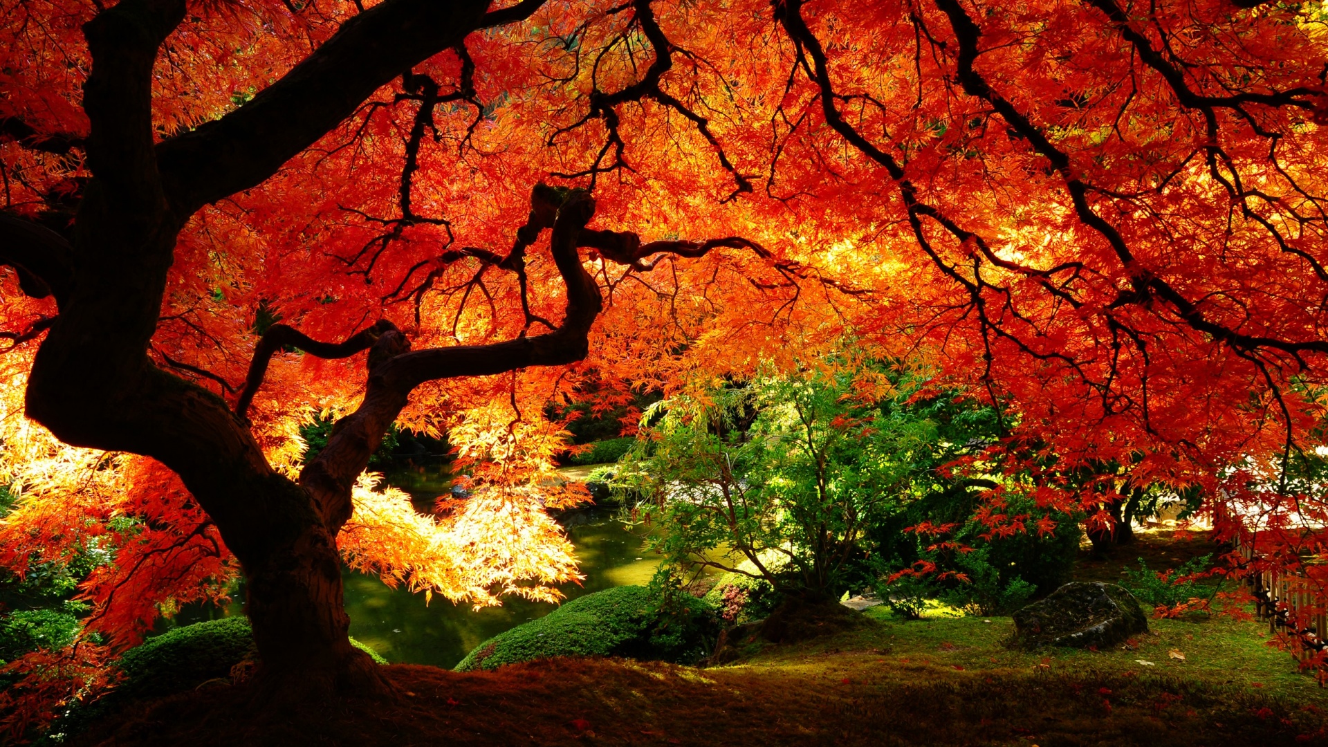 Autumn Wallpapers | Best Wallpapers