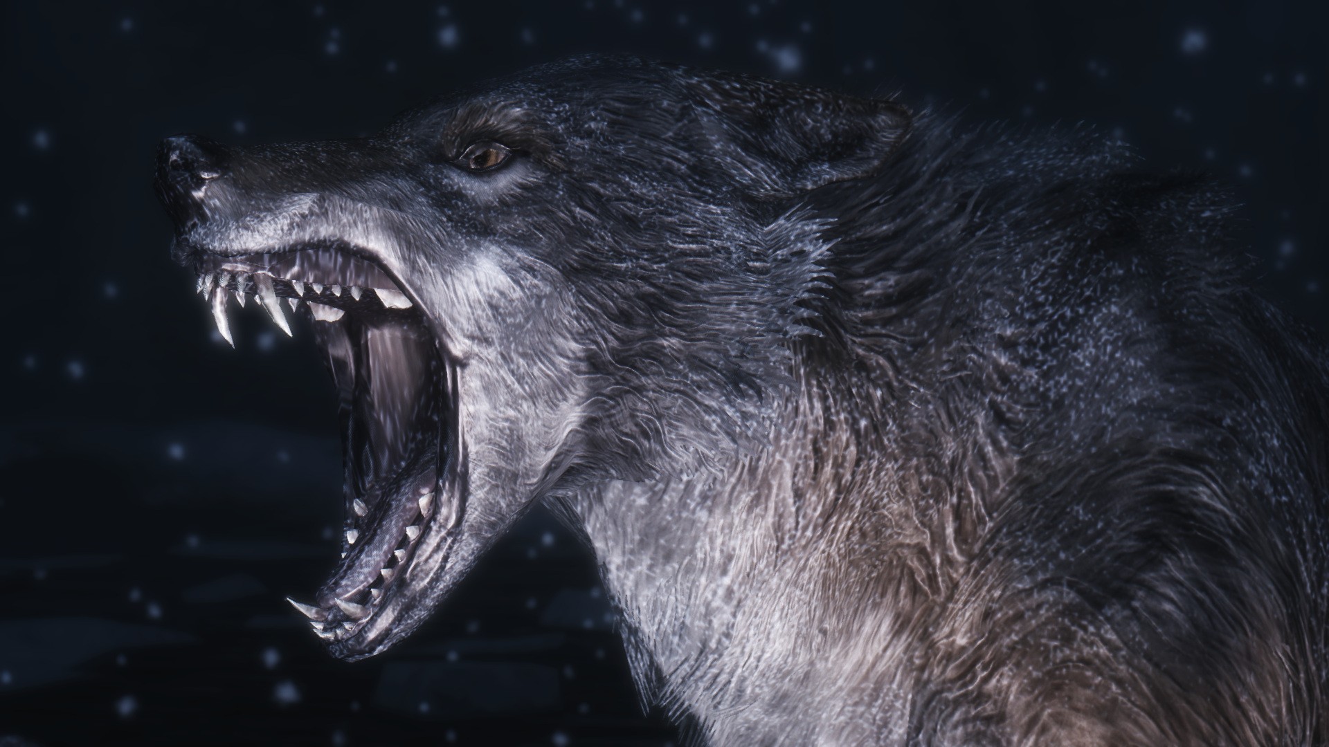 Wolf Wallpapers | Best Wallpapers