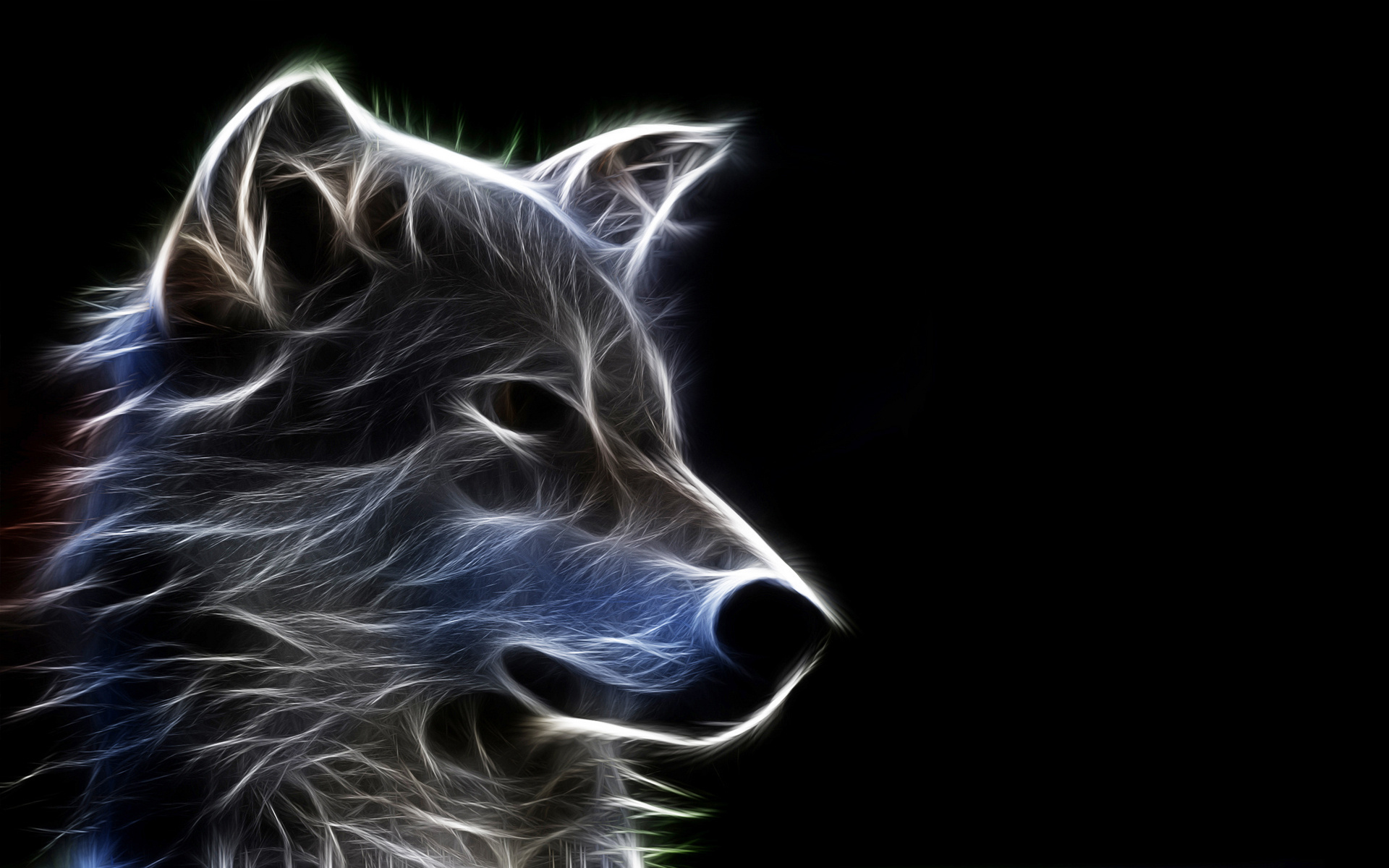 Wolf Wallpapers | Best Wallpapers