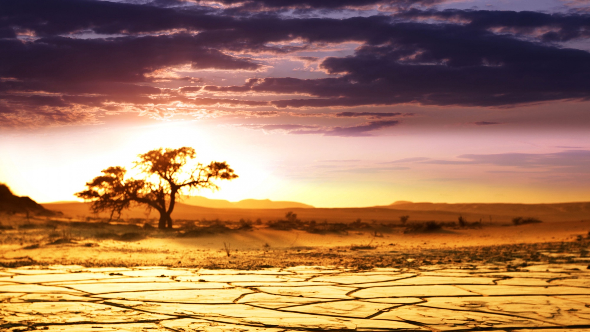 Africa Wallpapers | Best Wallpapers