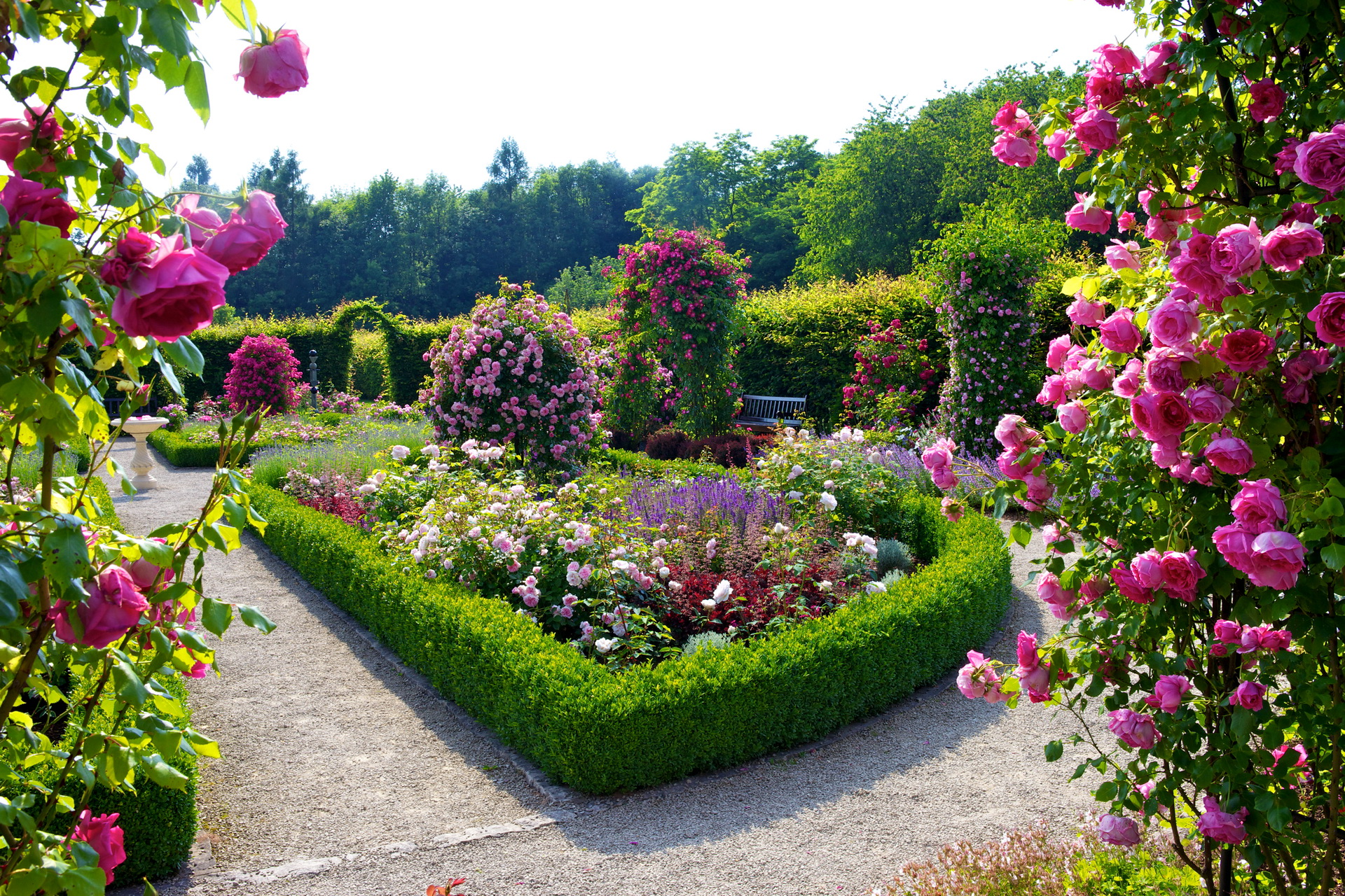 Flower Garden Wallpapers | Best Wallpapers