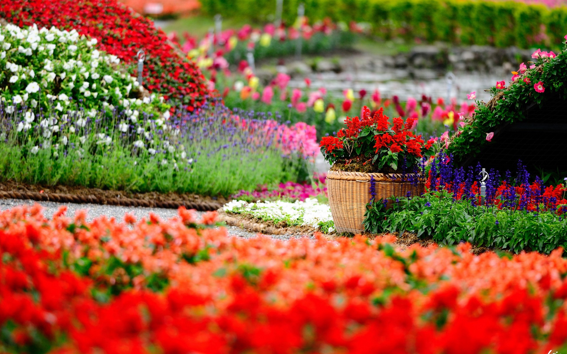 Flower Garden Wallpapers | Best Wallpapers