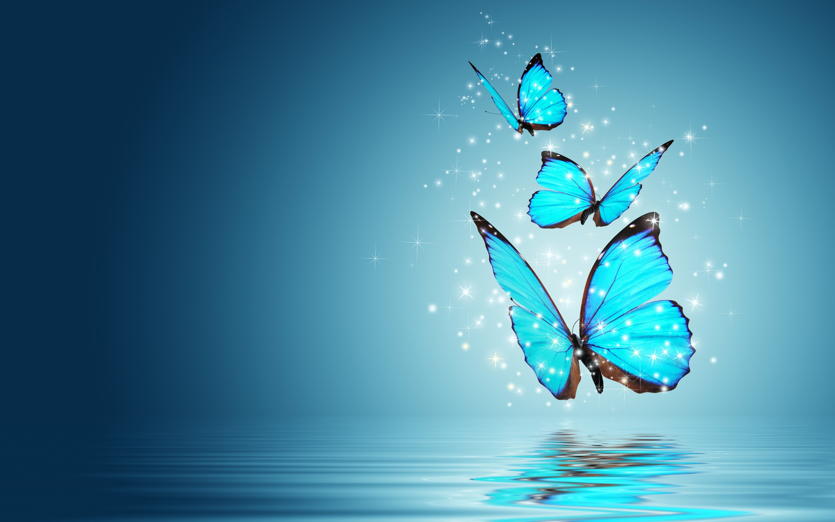 Butterfly Wallpapers | Best Wallpapers