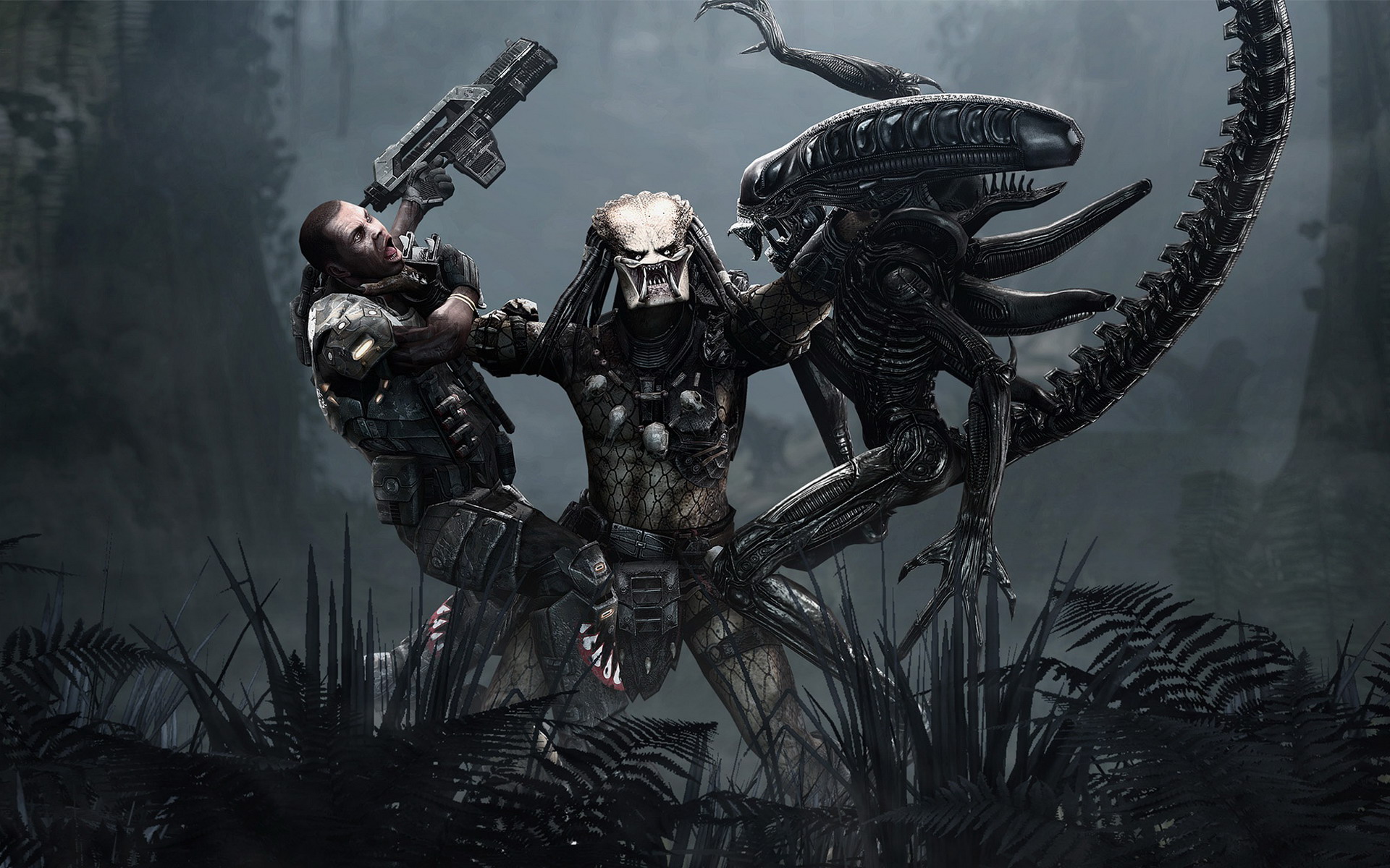 Predator Wallpapers | Best Wallpapers