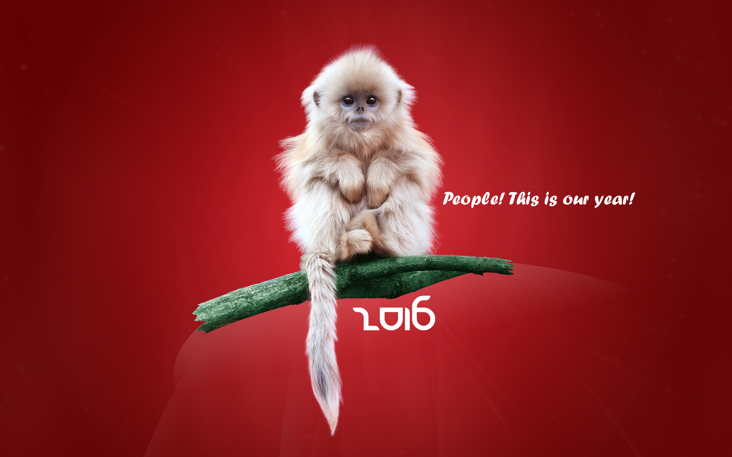 Year Of The Monkey 2016 Wallpapers Best Wallpapers