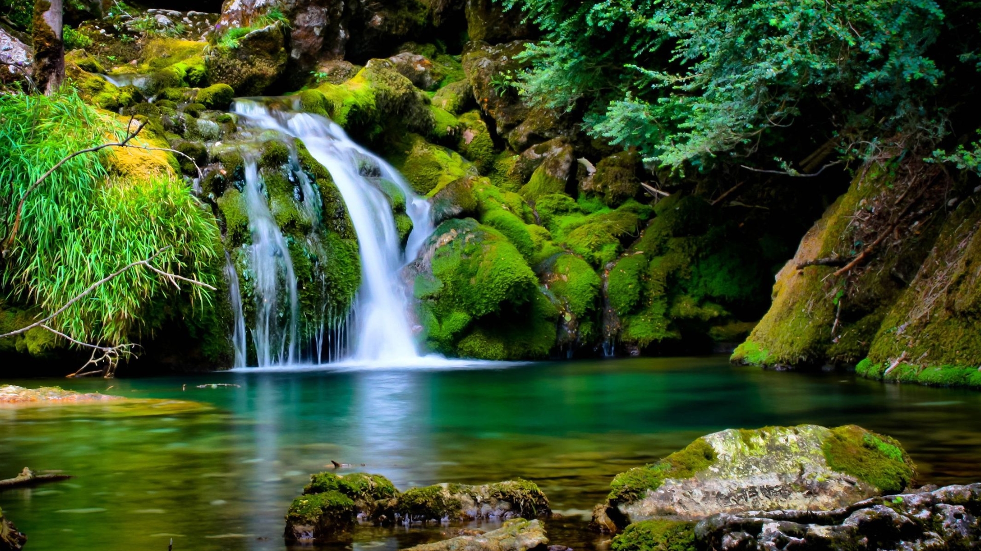 Beautiful Nature Waterfall