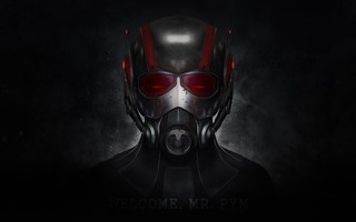 Ant-Man (2015) Wallpapers