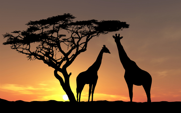 Africa Desktop Wallpaper