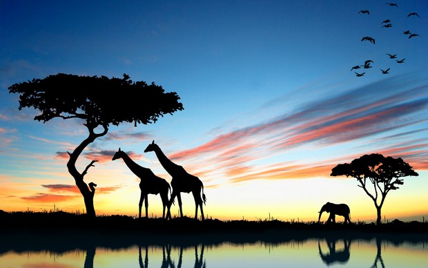 Awesome Africa Wallpaper
