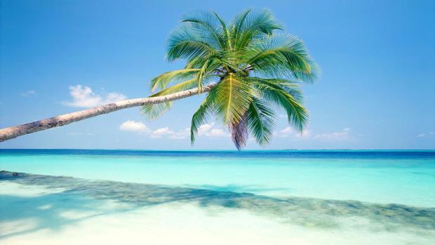 Maldive Islands Desktop Background