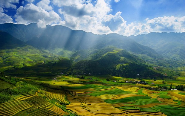 Vietnam Backgrounds