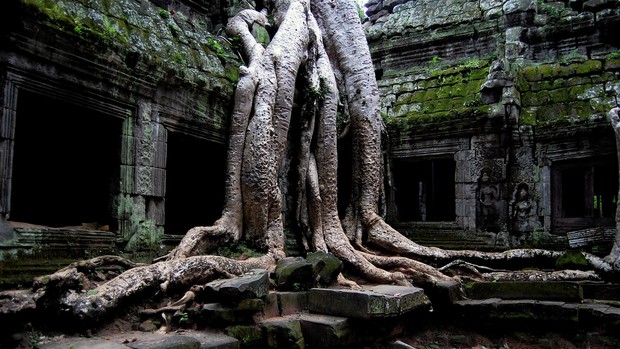 Cambodia Photo