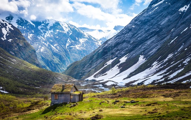 Norwegian Nature Photo