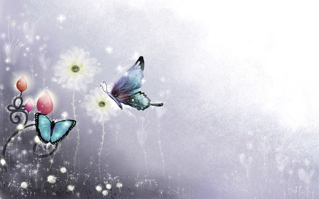 Butterfly Backgrounds