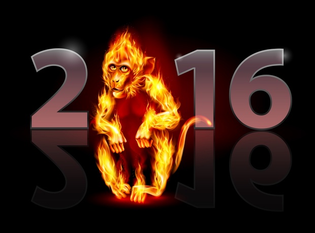 Year of the Monkey 2016 Image