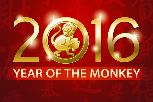 Year of the Monkey 2016 Picture