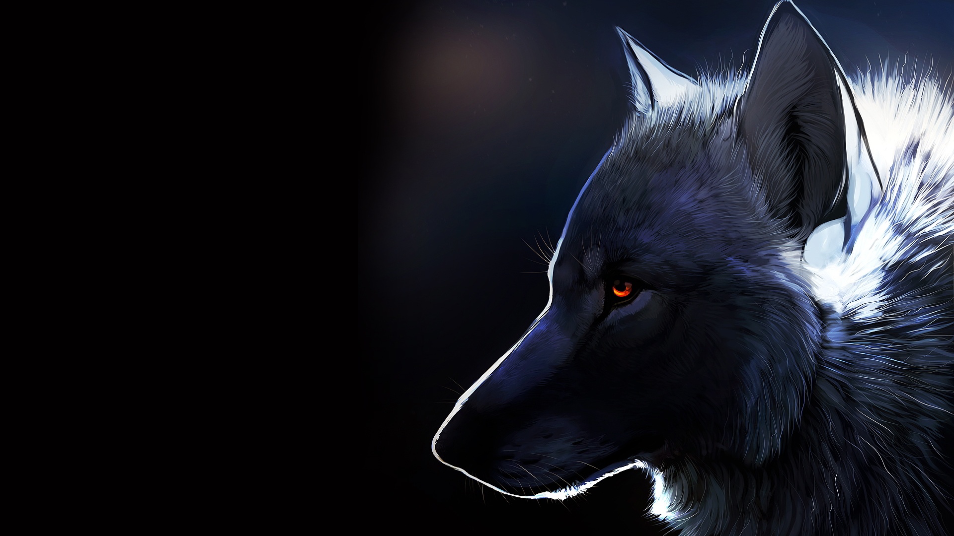 hd wolf wallpapers