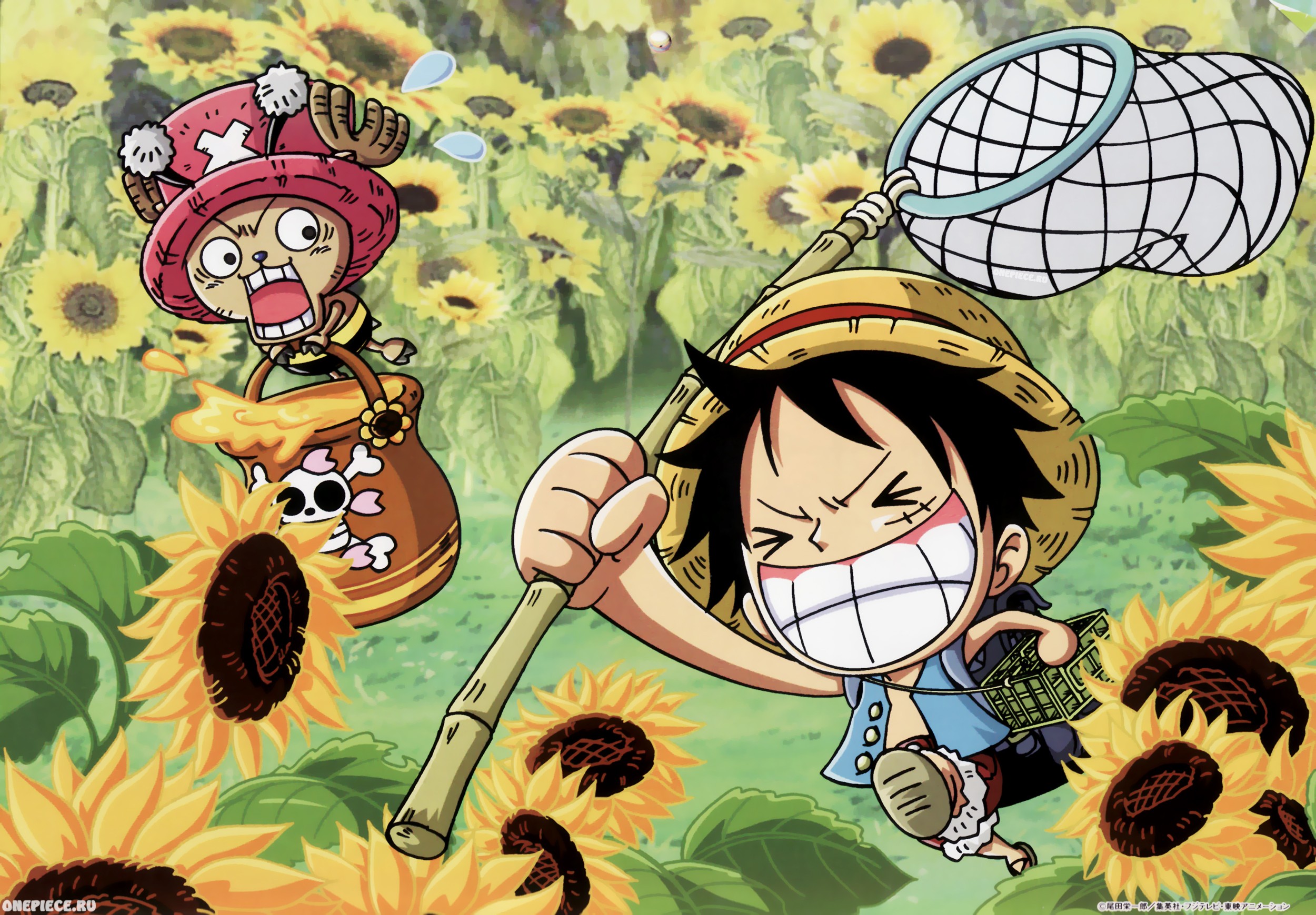 One Piece 1366x768 Wallpapers - Wallpaper Cave
